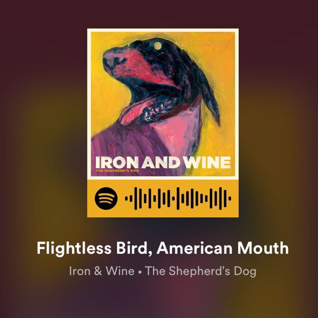 Flightless Bird, American Mouth - Iron & Wine