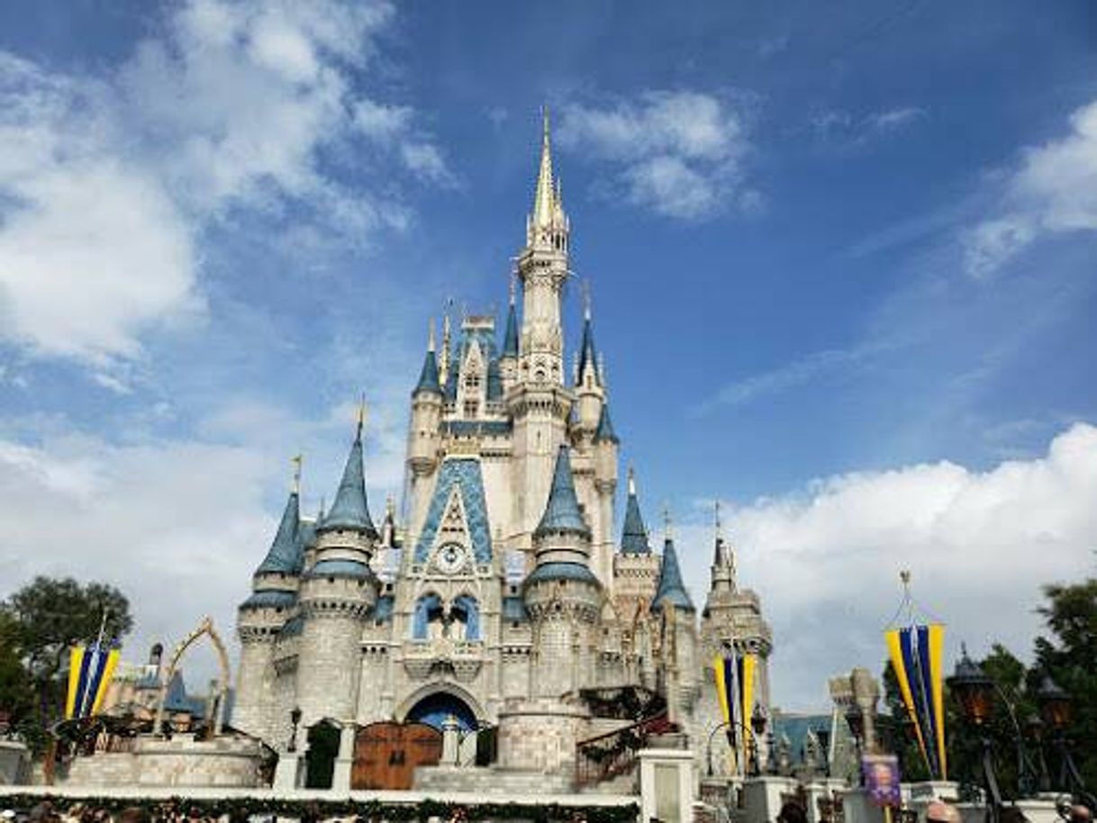 Social Walt Disney World Resort