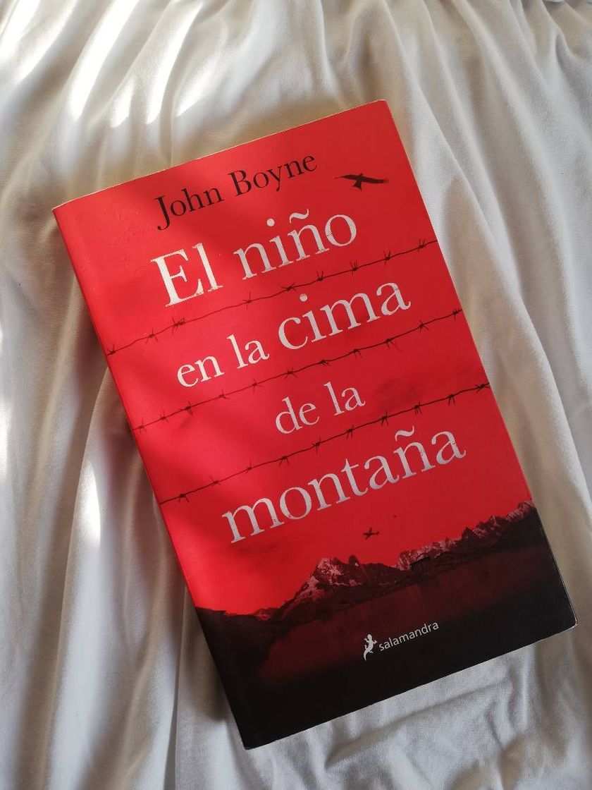 Libro El niño en la cima de la montaña