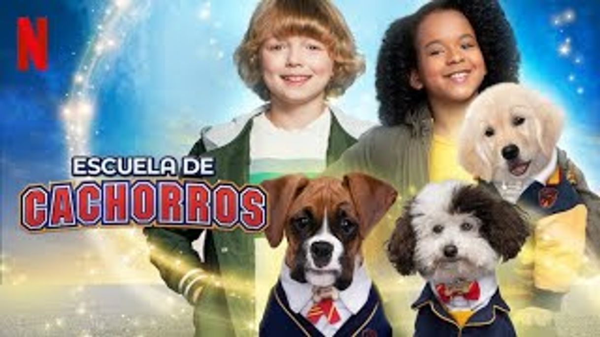 Serie Escuela de cachorros