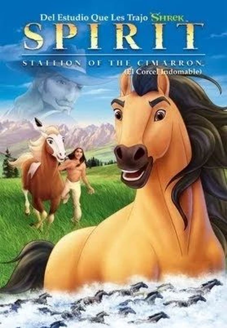 Película Spirit, el corcel indomable