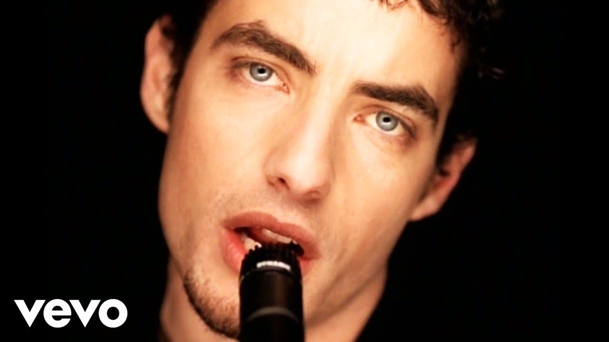 Social The Wallflowers - One Headlight