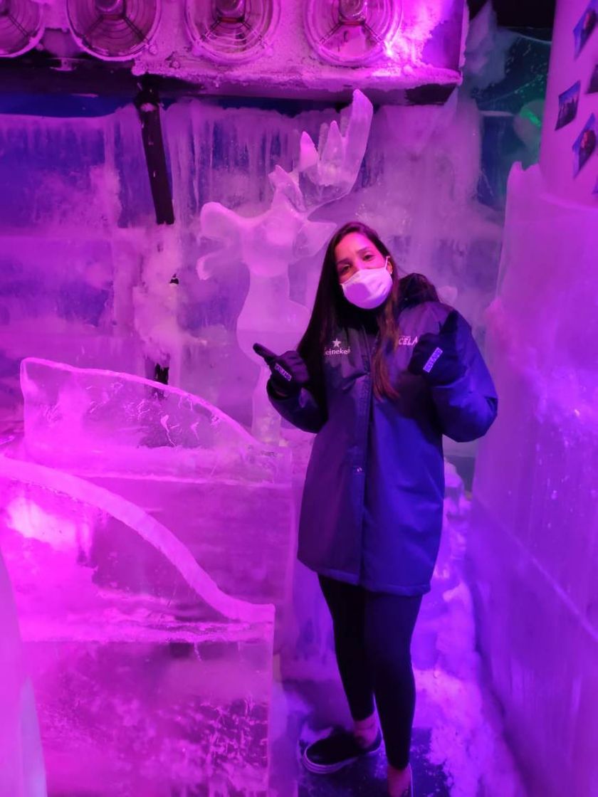 Lugar Iceland Bar de Gelo