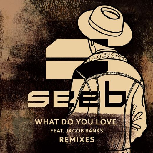 What Do You Love - Zac Samuel Remix