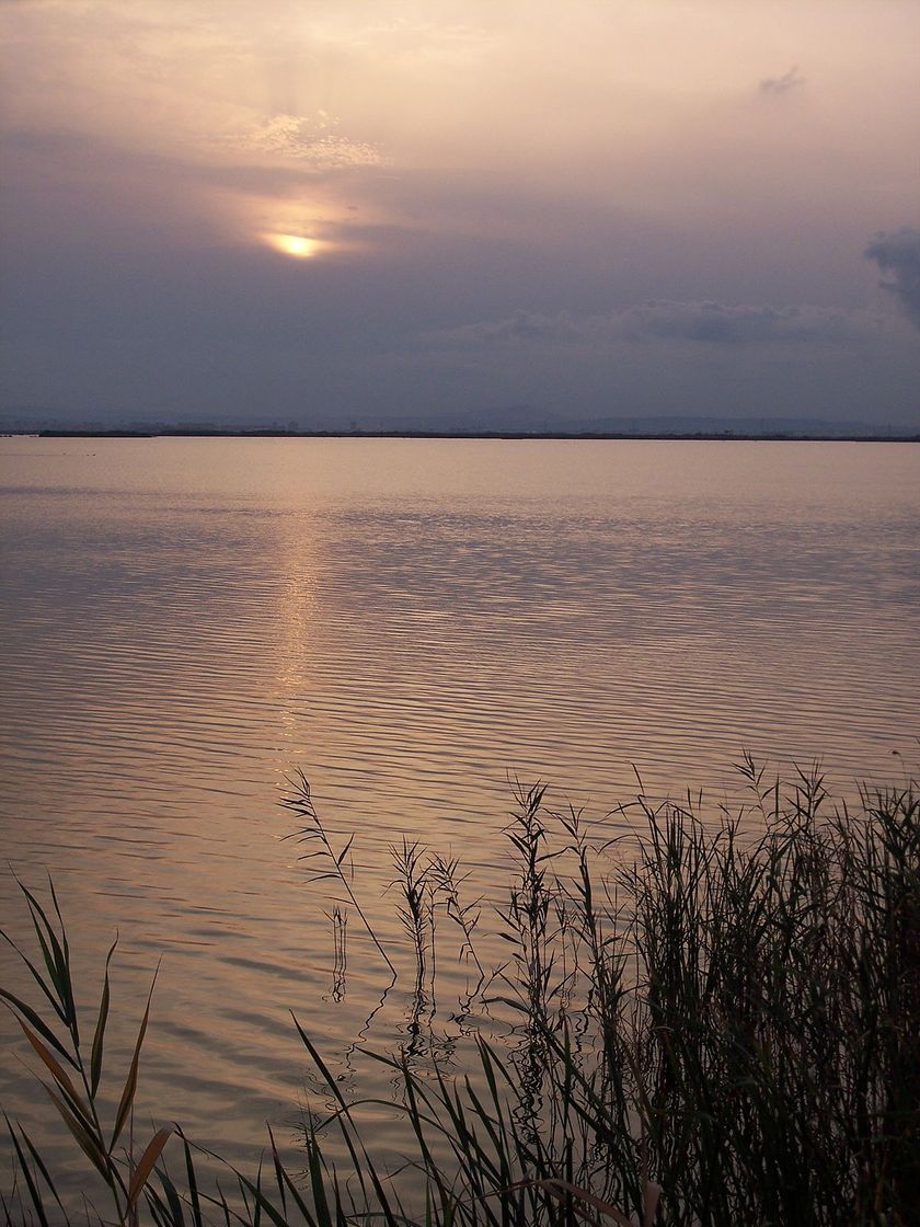 Place Parc Natural De l'Albufera