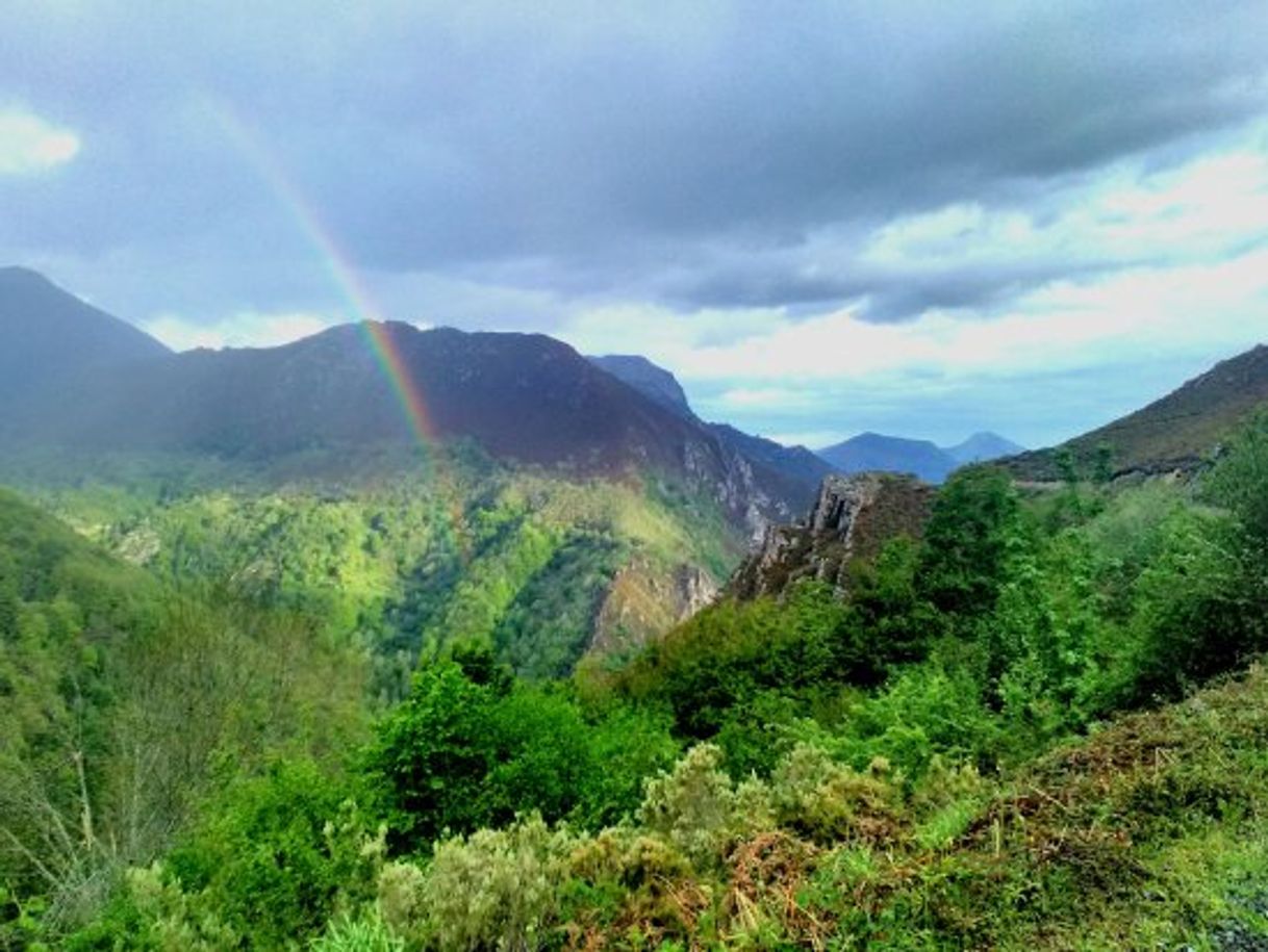 Lugar Parque Natural de Redes