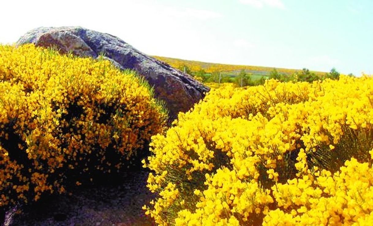 Lugar Sierra de Gredos