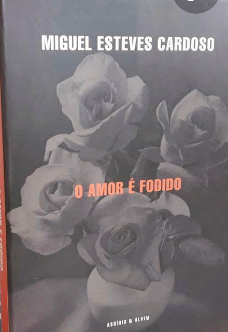 Book O Amor é Fodido