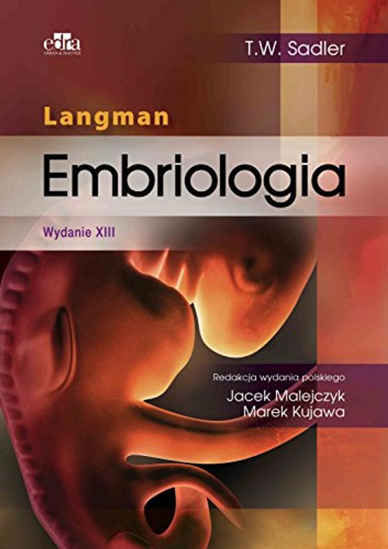 Book Embriologia Langman