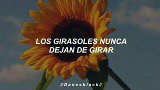 Girasoles - Luis Fonsi