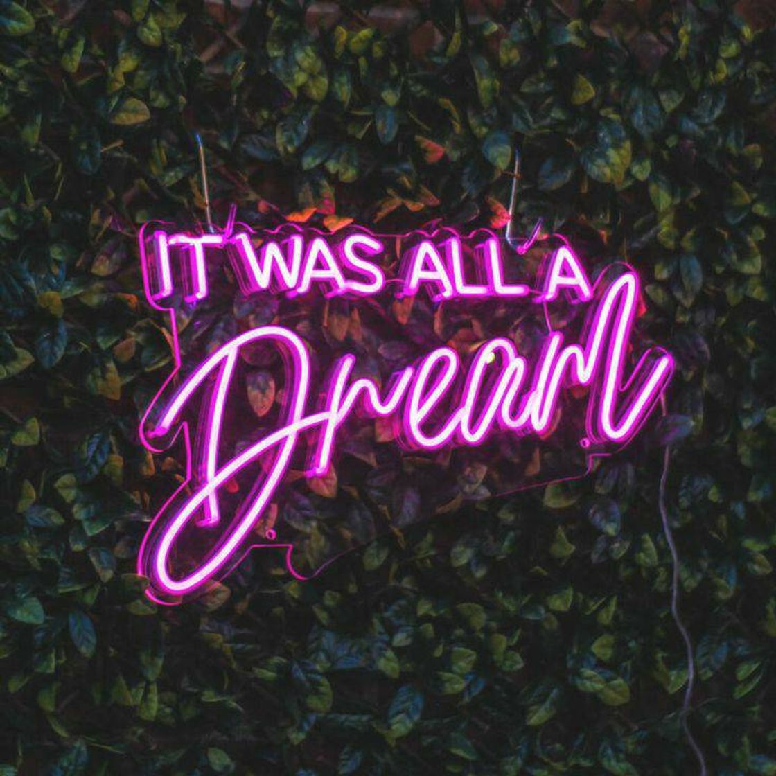 Fashion "It was all a dream" led neon sing 