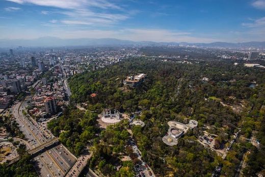 Bosque de Chapultepec