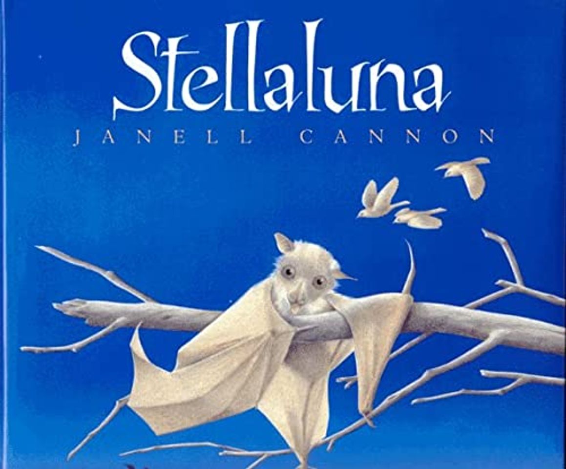 Libro Stellaluna