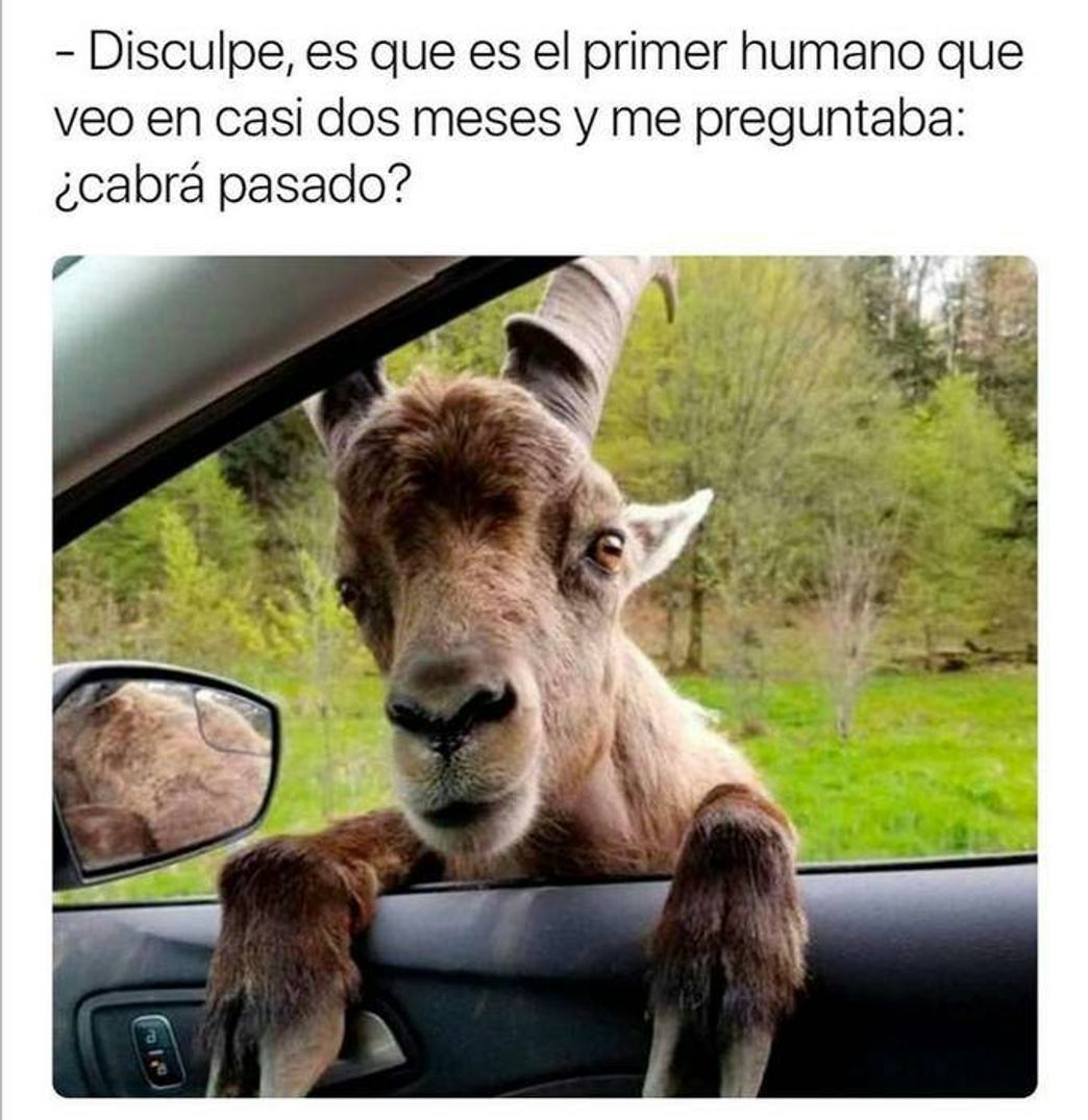 Memes coronavirus