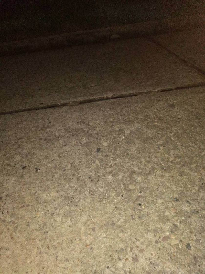 Social Optimum Nutrition ON Gold Standard Pre Workout en Polvo con Creatina Monohidrato