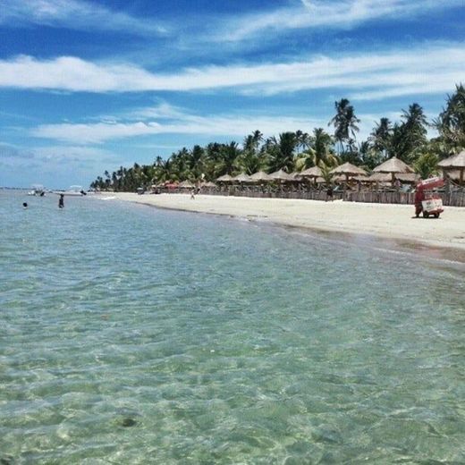 •praia dos carneiros•