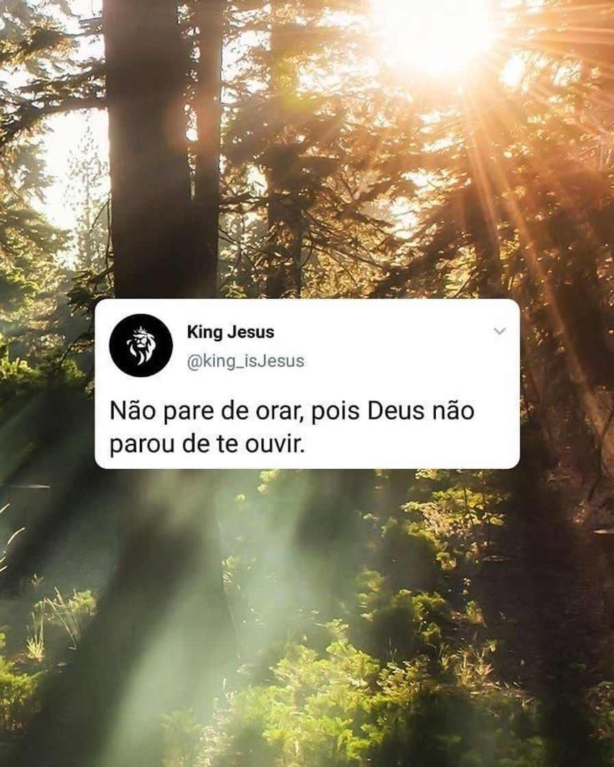 Fashion Frases Jesus 