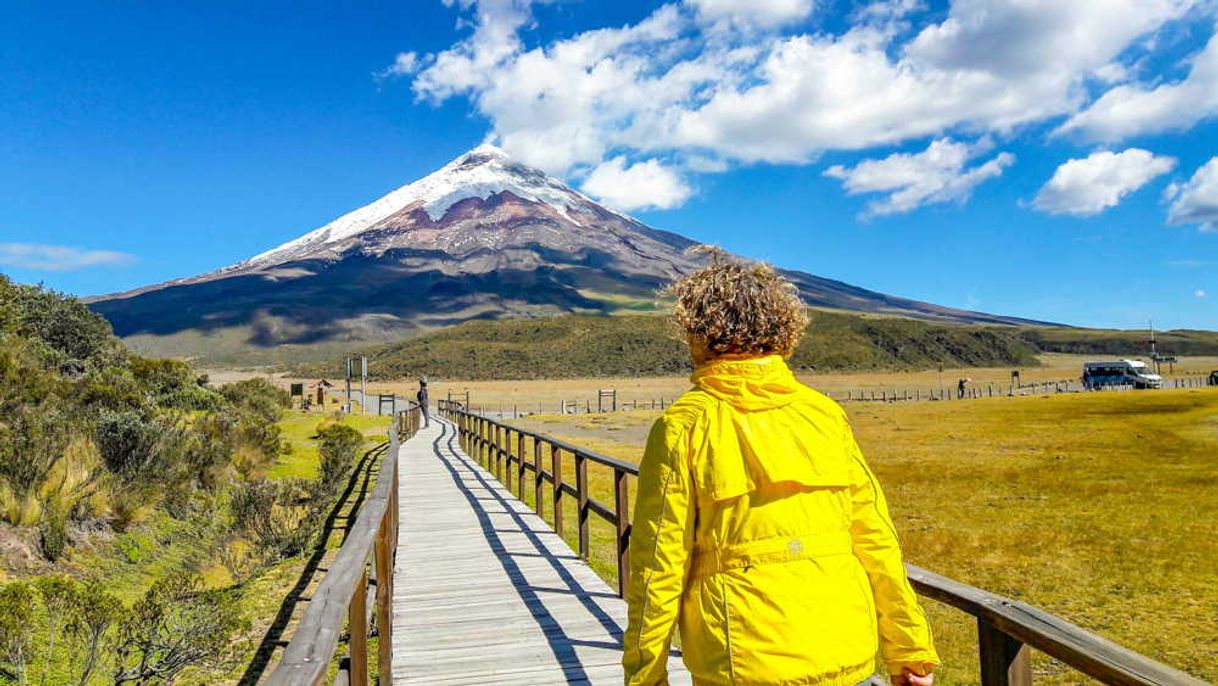 Lugar Parque Nacional Cotopaxi