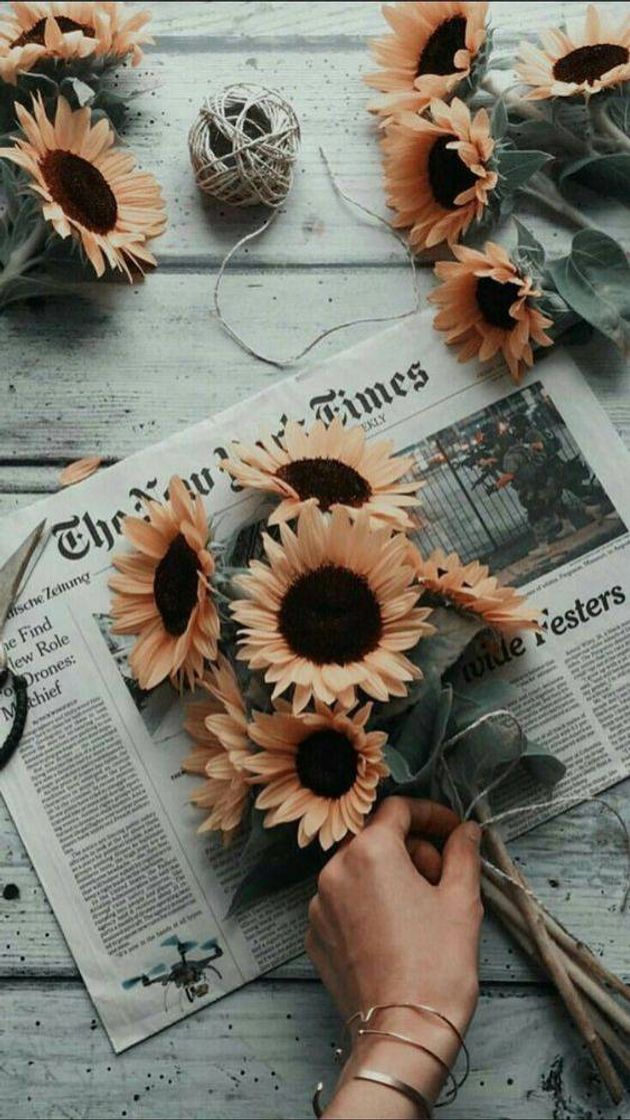 wallpapers Fondos de pantalla