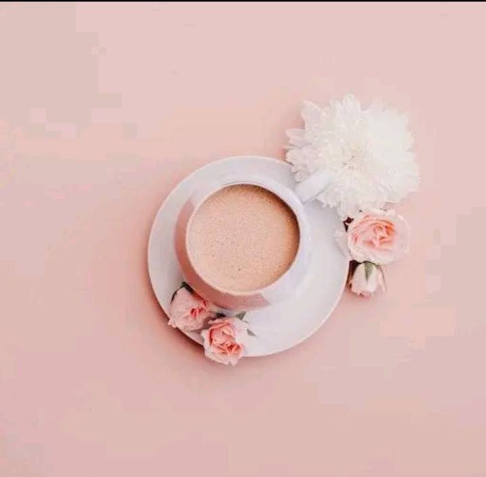 Social Camara filter pink