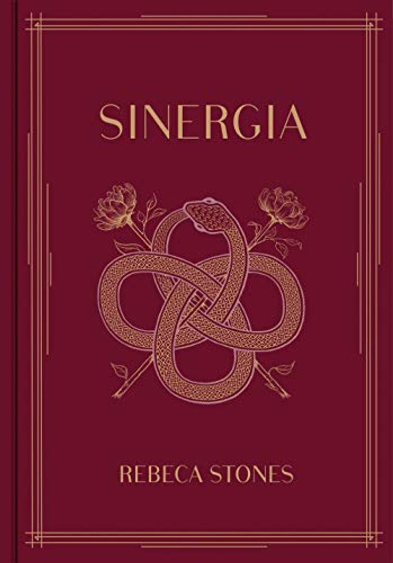 Book Sinergia