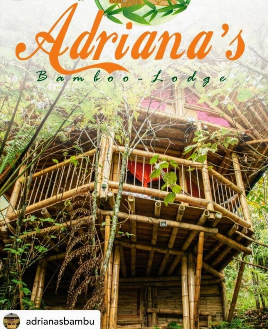 Lugar Adriana's Bambu-Lodge