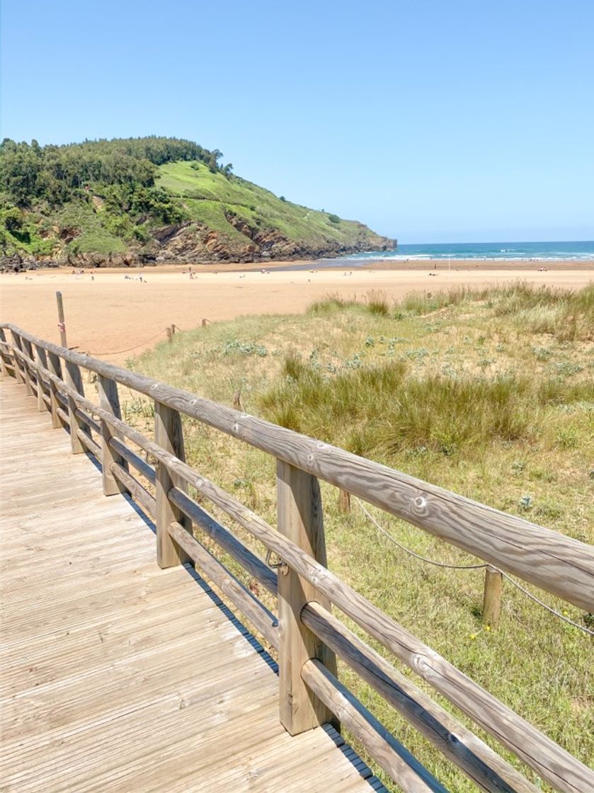 Place Playa De La Arena