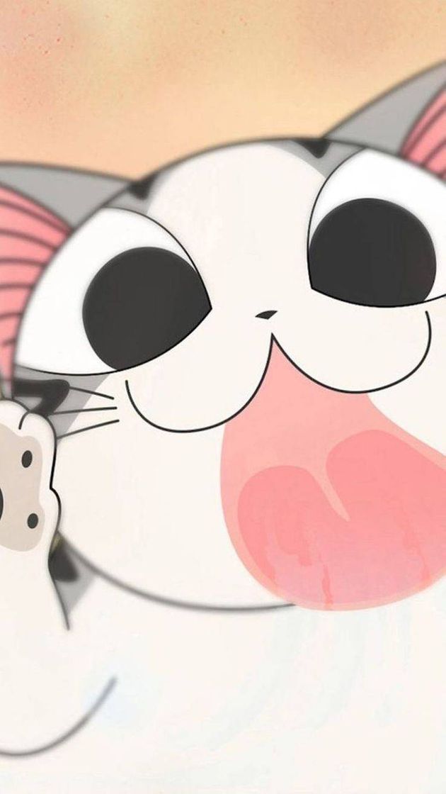Social Wallpaper Gatinho