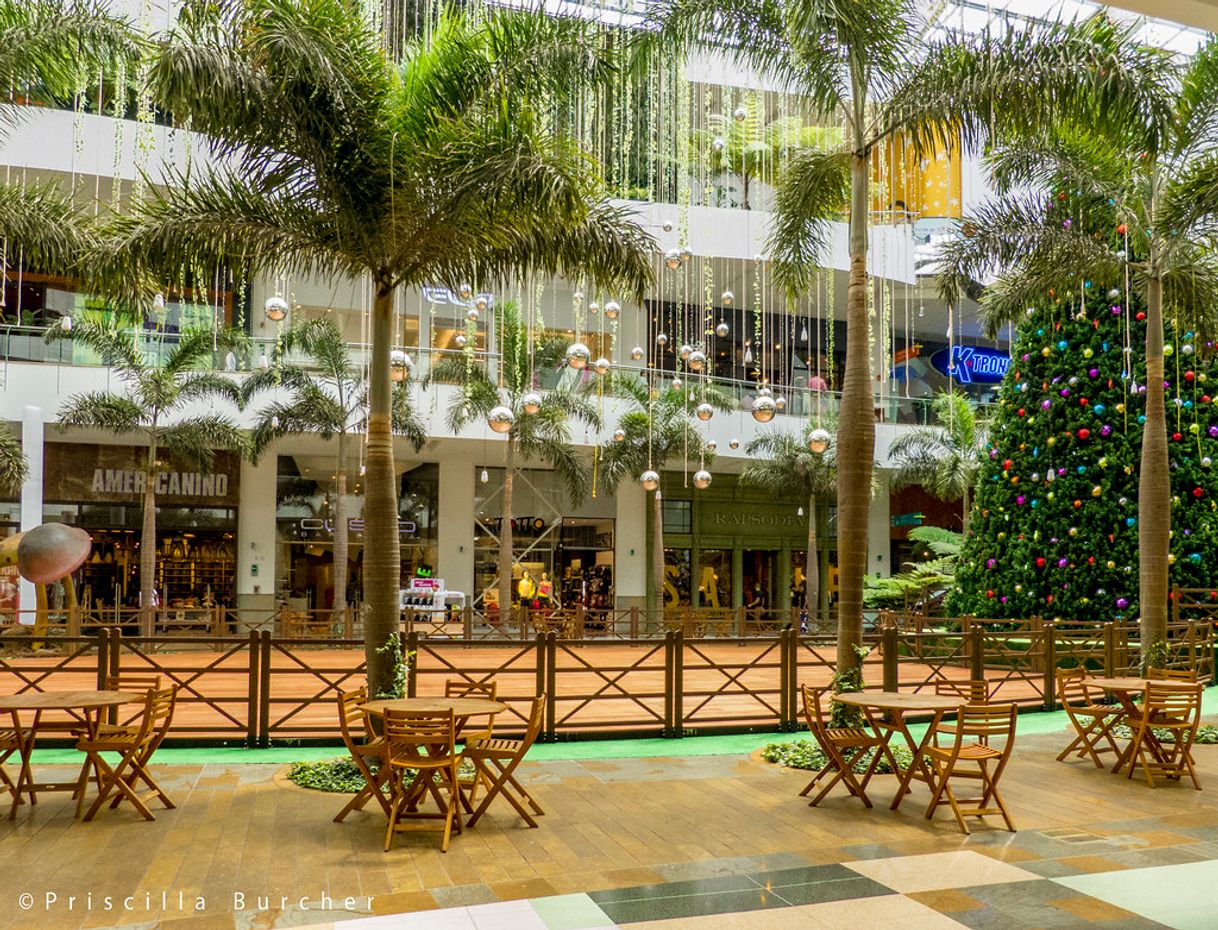 Places Centro Comercial El Tesoro