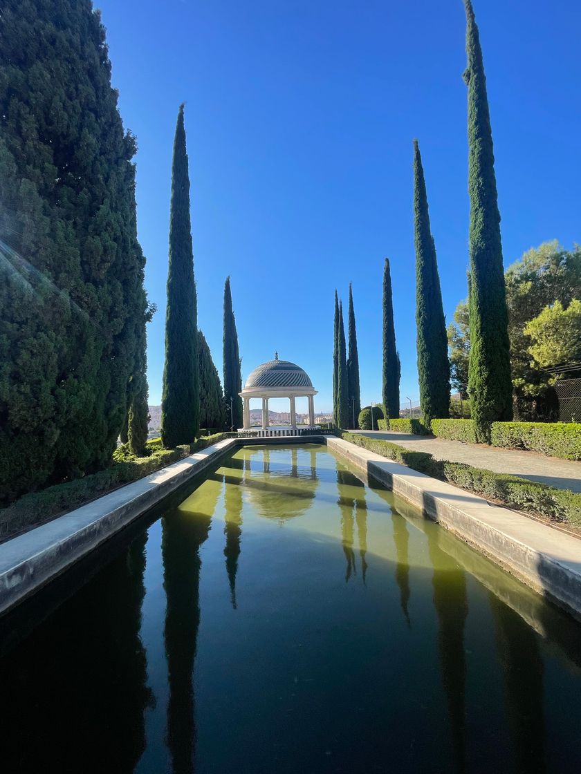 Place Jardín Botánico Histórico La Concepción