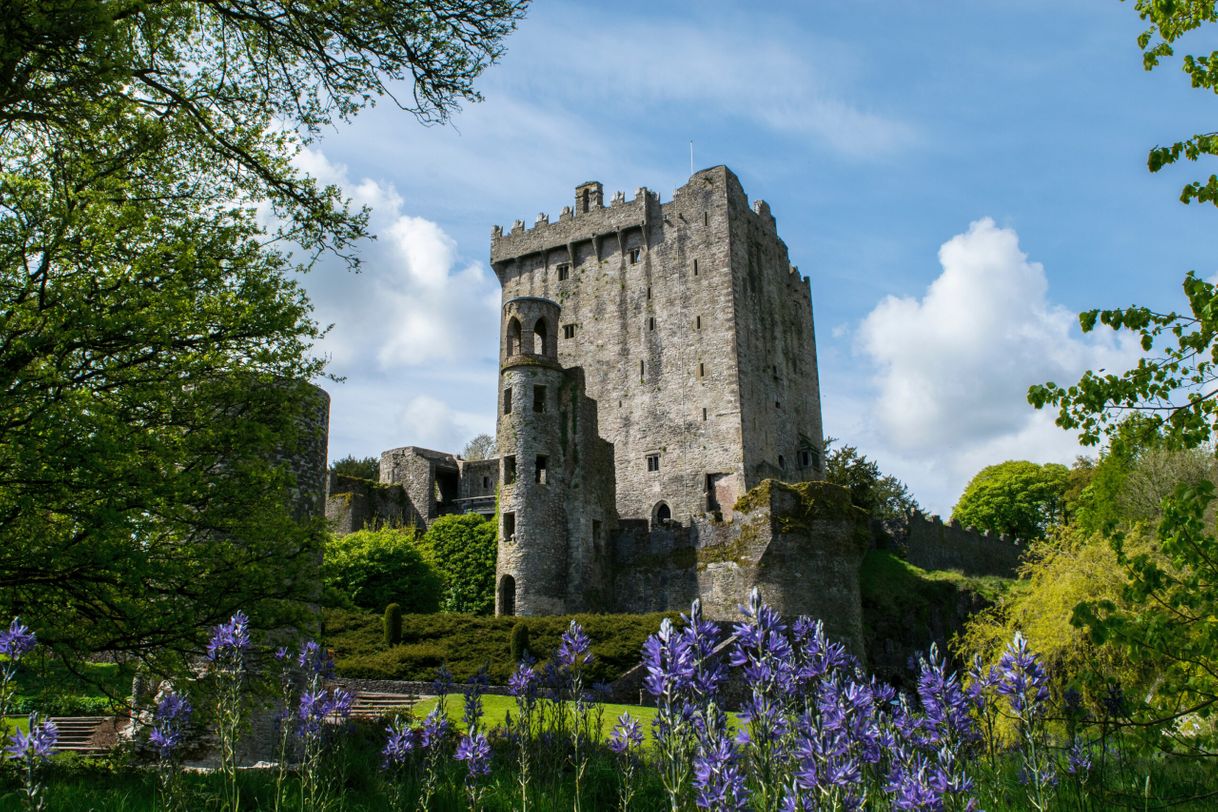 Lugar Blarney Castle