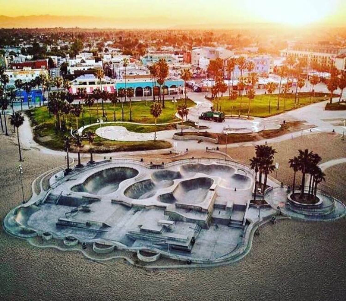 Lugar Venice Skate Park