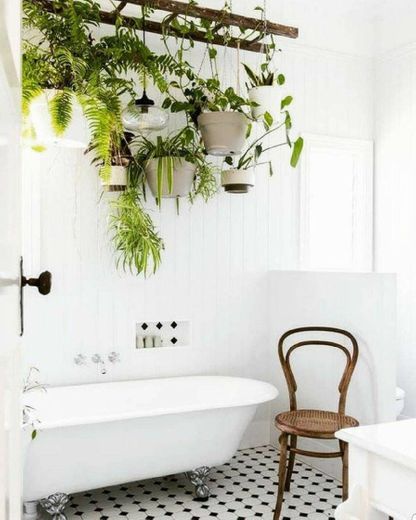 Banheiro com plantas!