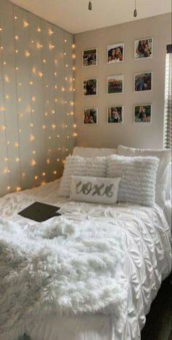 Social Quarto aesthetic 