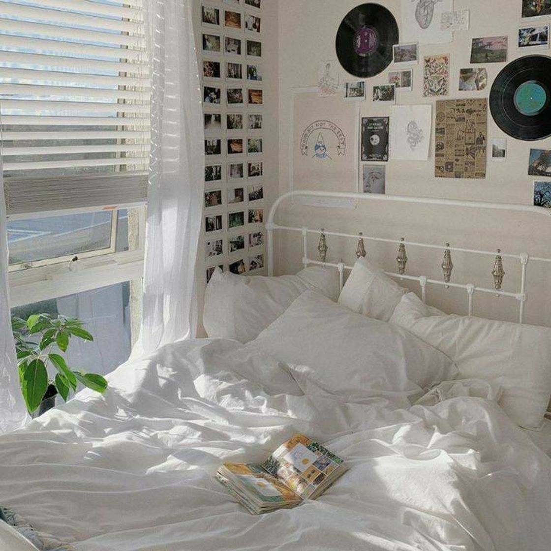 Social Quarto aesthetic 