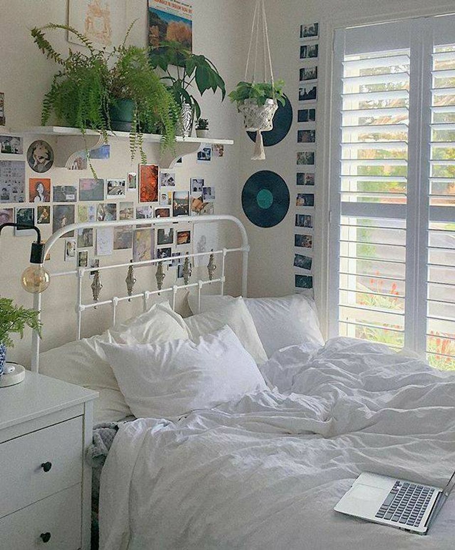 Social Quarto aesthetic 