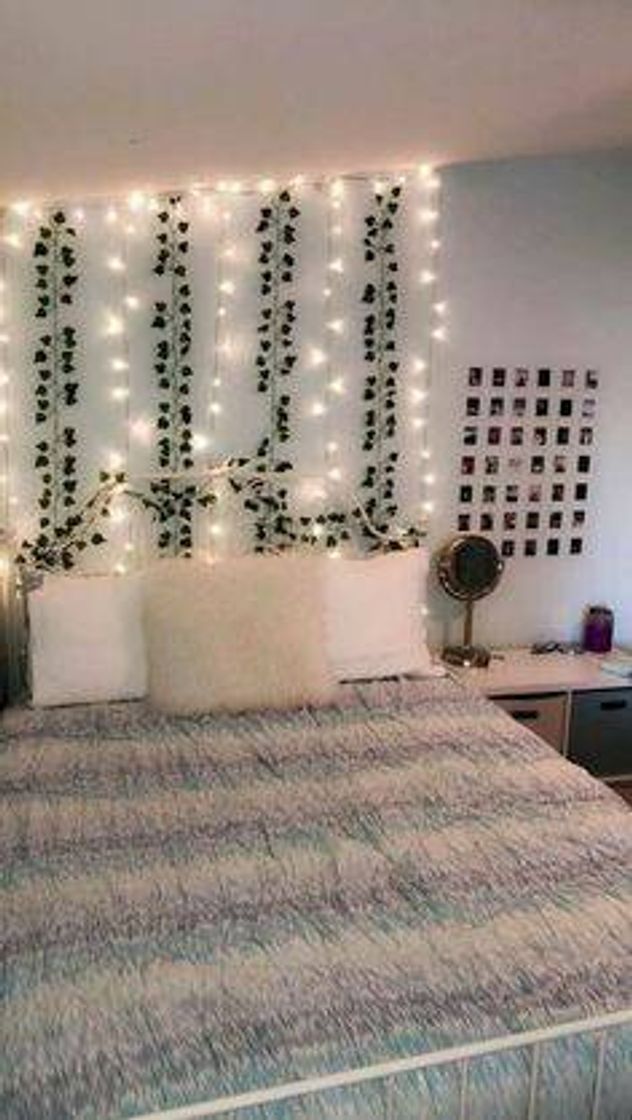 Social Quarto aesthetic 