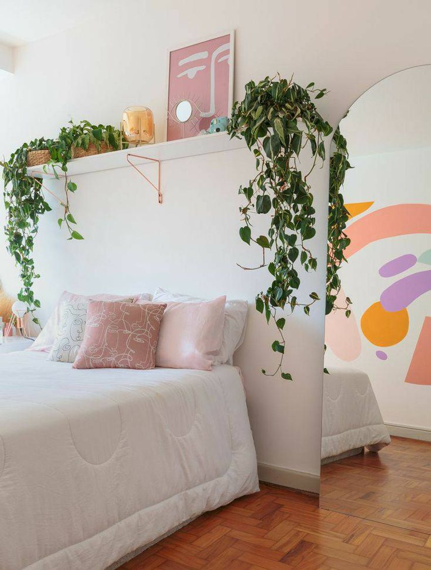 Social Quarto aesthetic 
