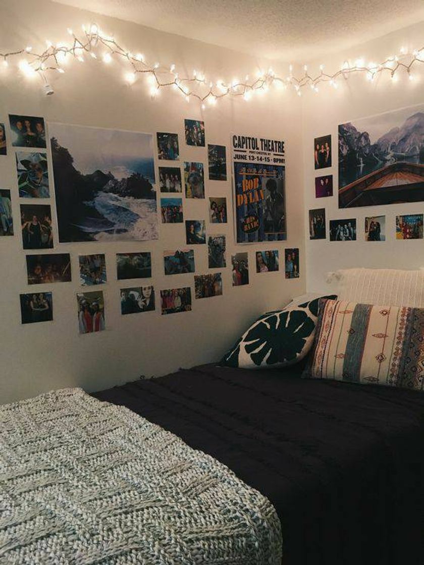 Social Quarto aesthetic 