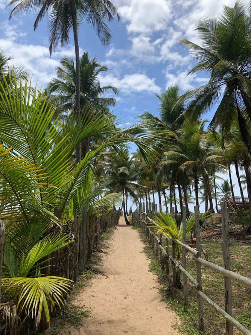 Lugar Praia de Barra Grande