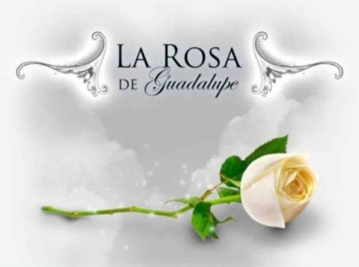 Serie La rosa de Guadalupe