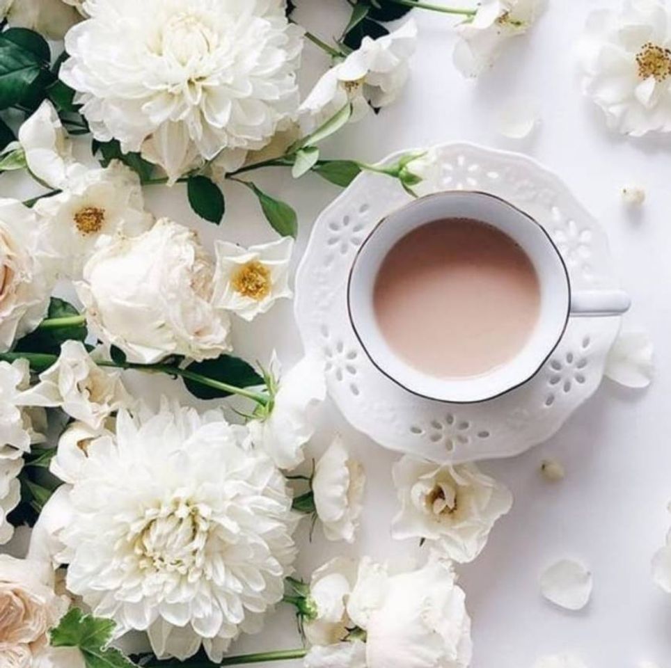 Social 🌼🌼☕