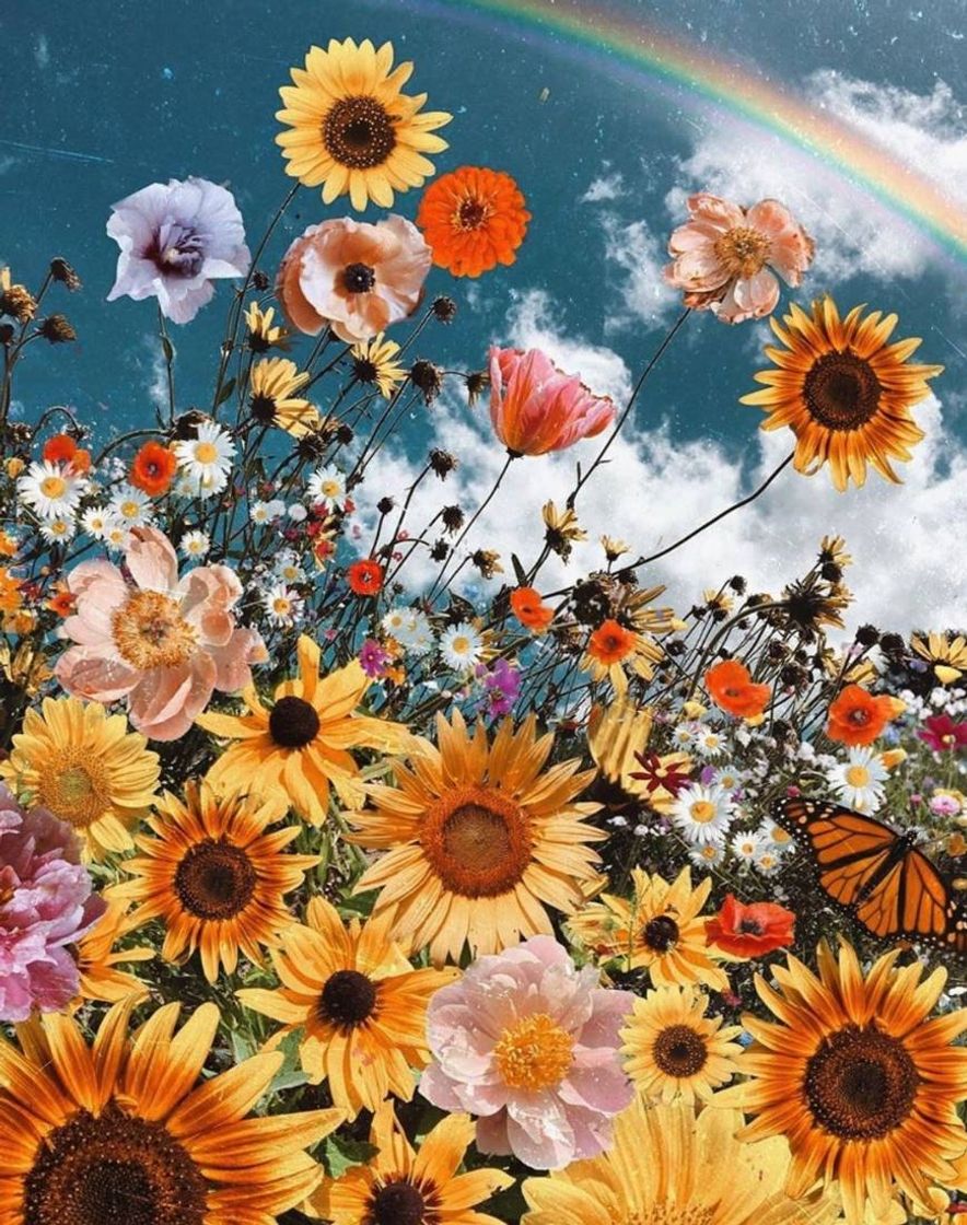 Social 🤩🌼🌻🌺🌷🍃