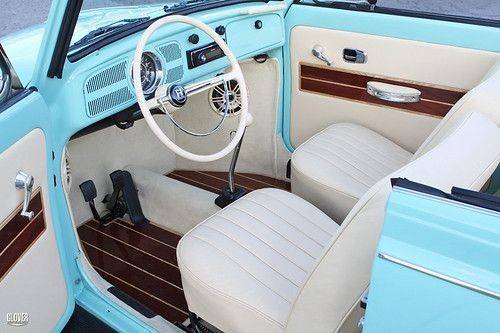 Social Interior fusca