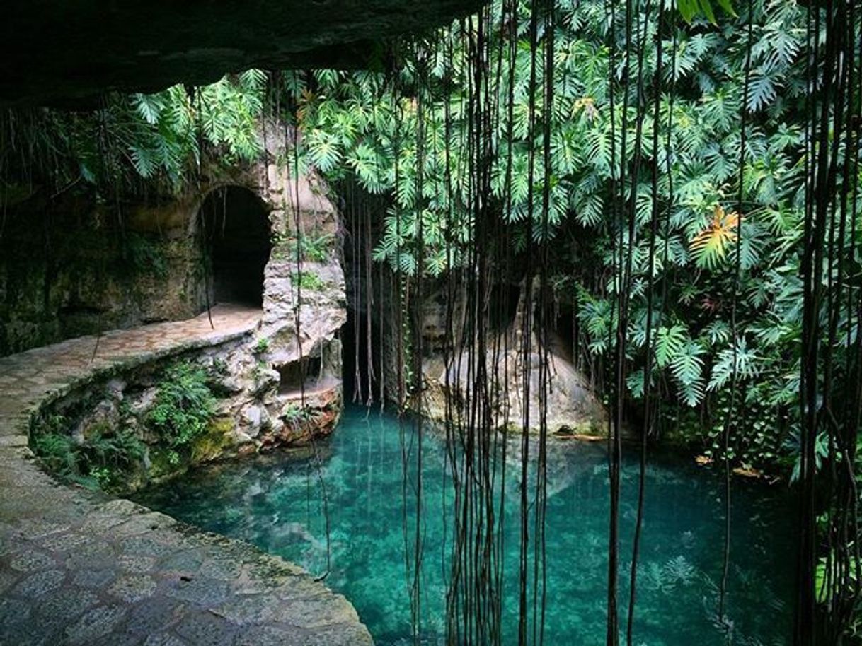 Lugar Cenotes Hacienda Mucuyché