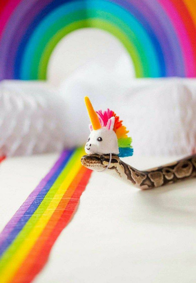 Moda 🐍🌈