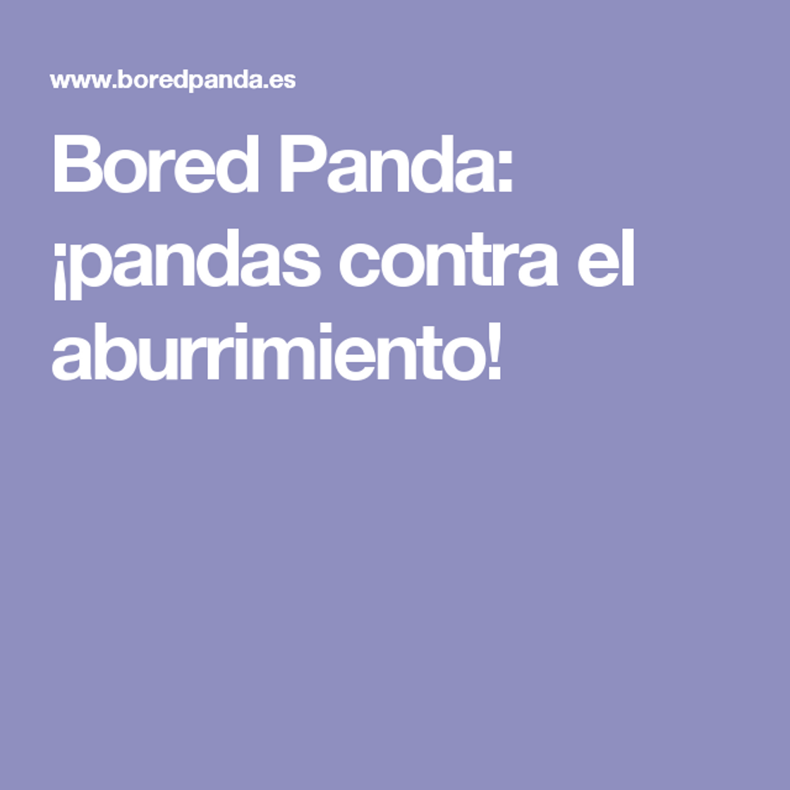 Moda Bored Panda: ¡pandas contra el aburrimiento!