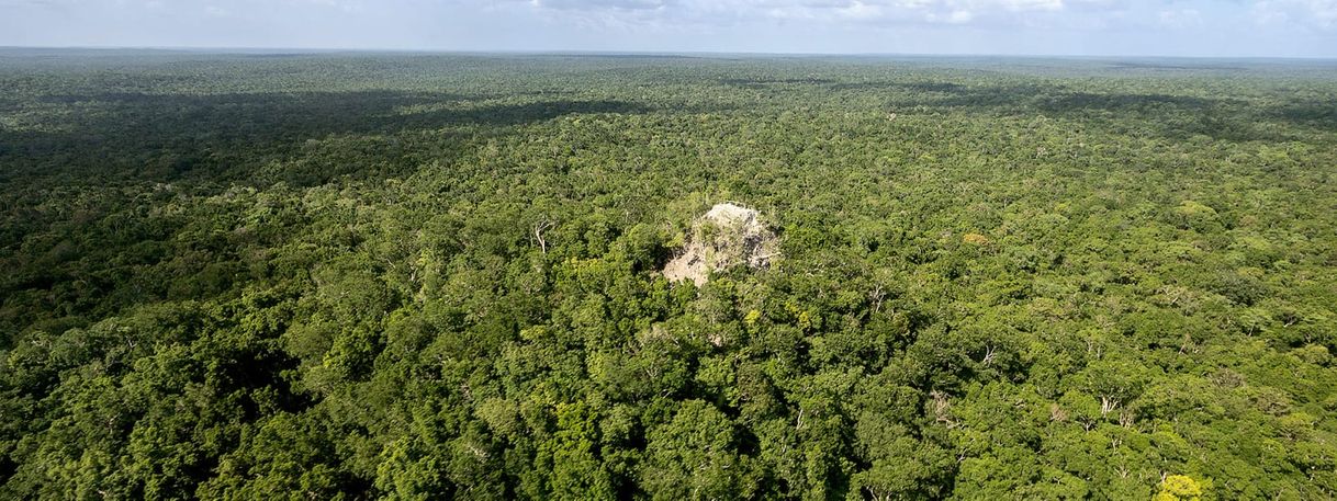 Place El Mirador