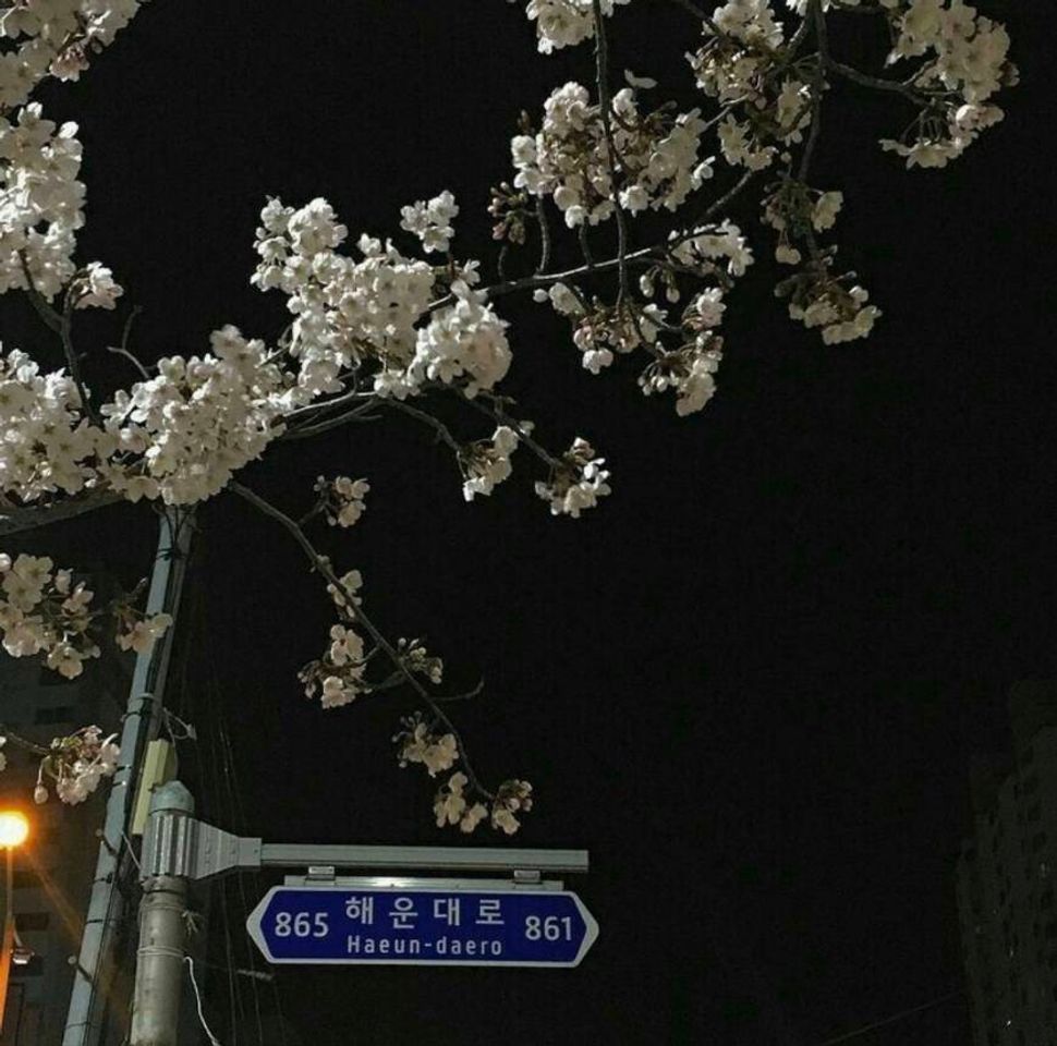 Social Fondo de pantalla 
