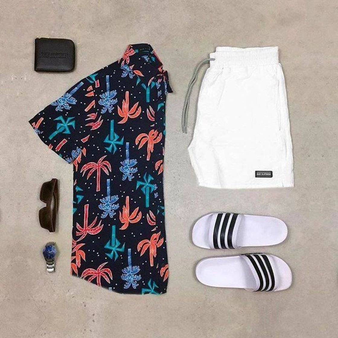 Social 🐚
